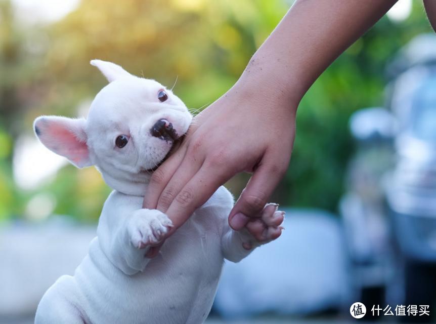 好用又好玩的大号滋水枪